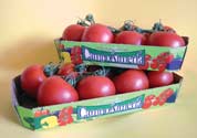 Paniers de la boîte