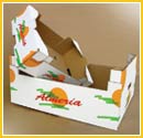 Caja Cartón