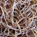 Elastic bands